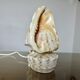 Lampe coquillage "cassis cornita" années 70