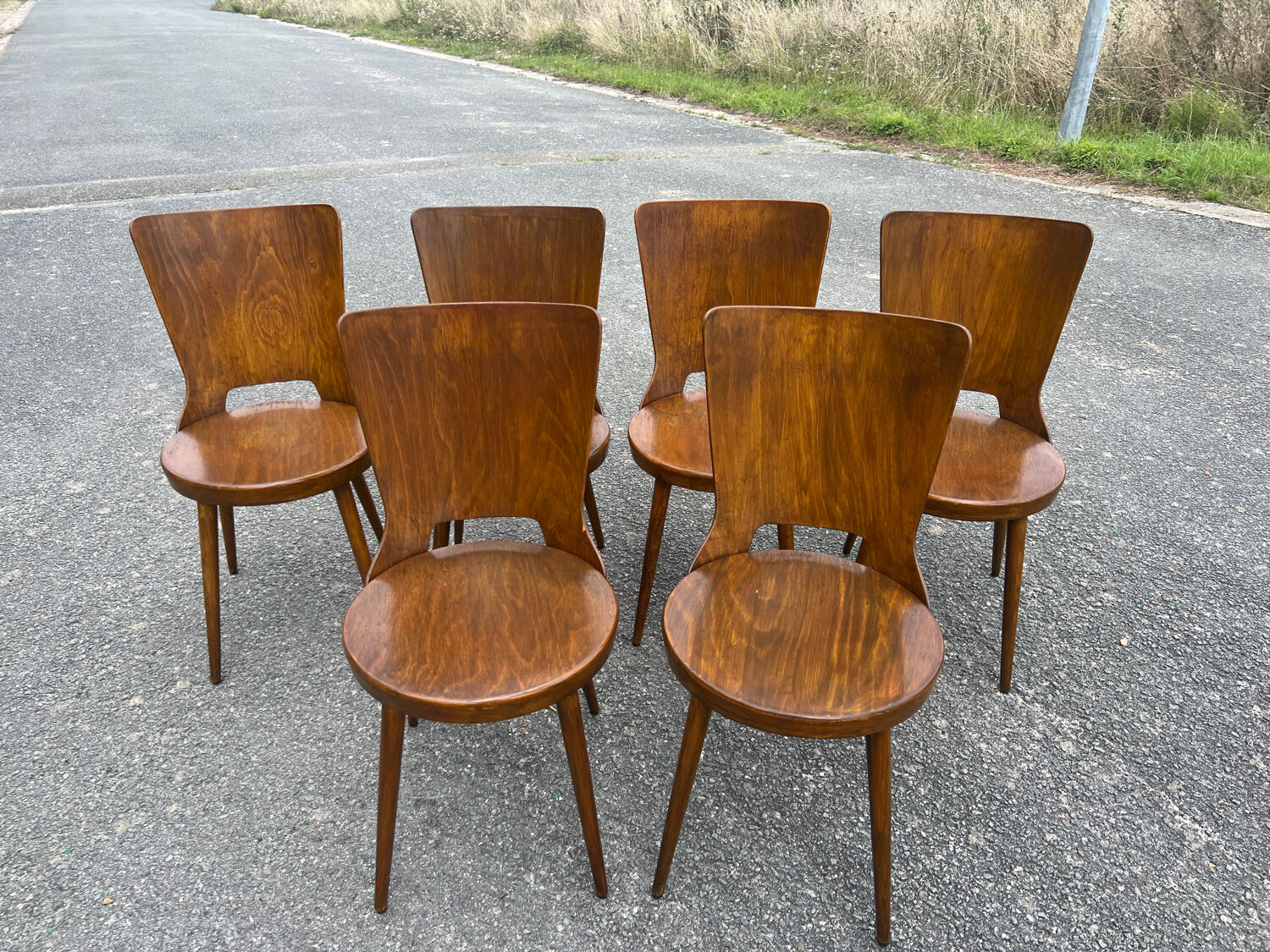 Suite of 6 Baumann chairs Dove model