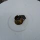 Vintage enamelled sheet metal swan neck wall light