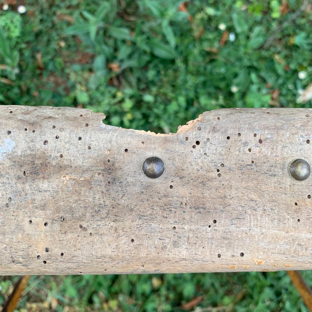 Set of 3 folding garden chairs