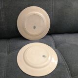 Lot d'assiettes plates Terre de fer