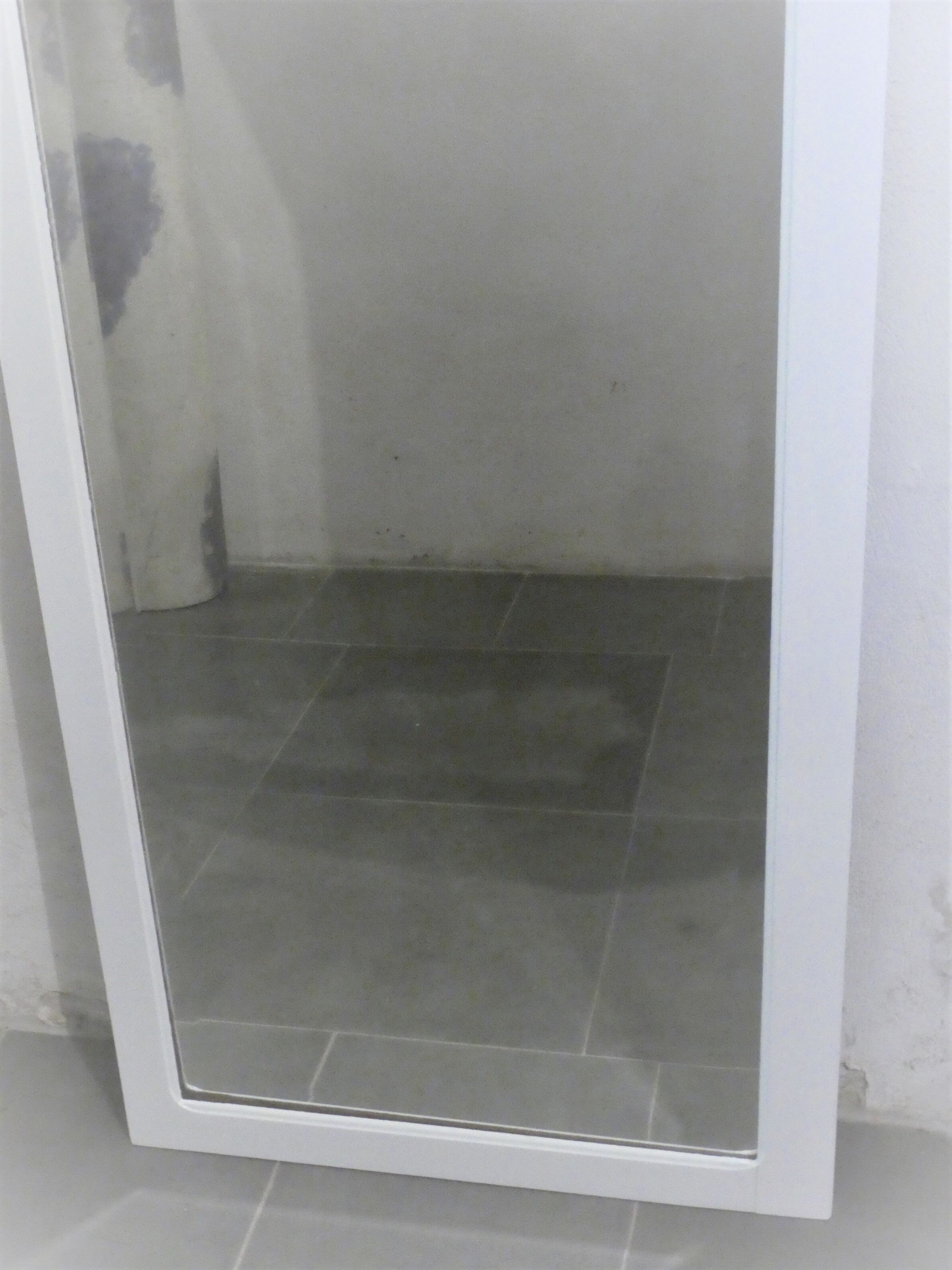 Mirror door 167x64cm