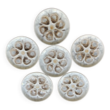 6 Saint Amand oyster plates
