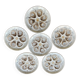 6 Saint Amand oyster plates