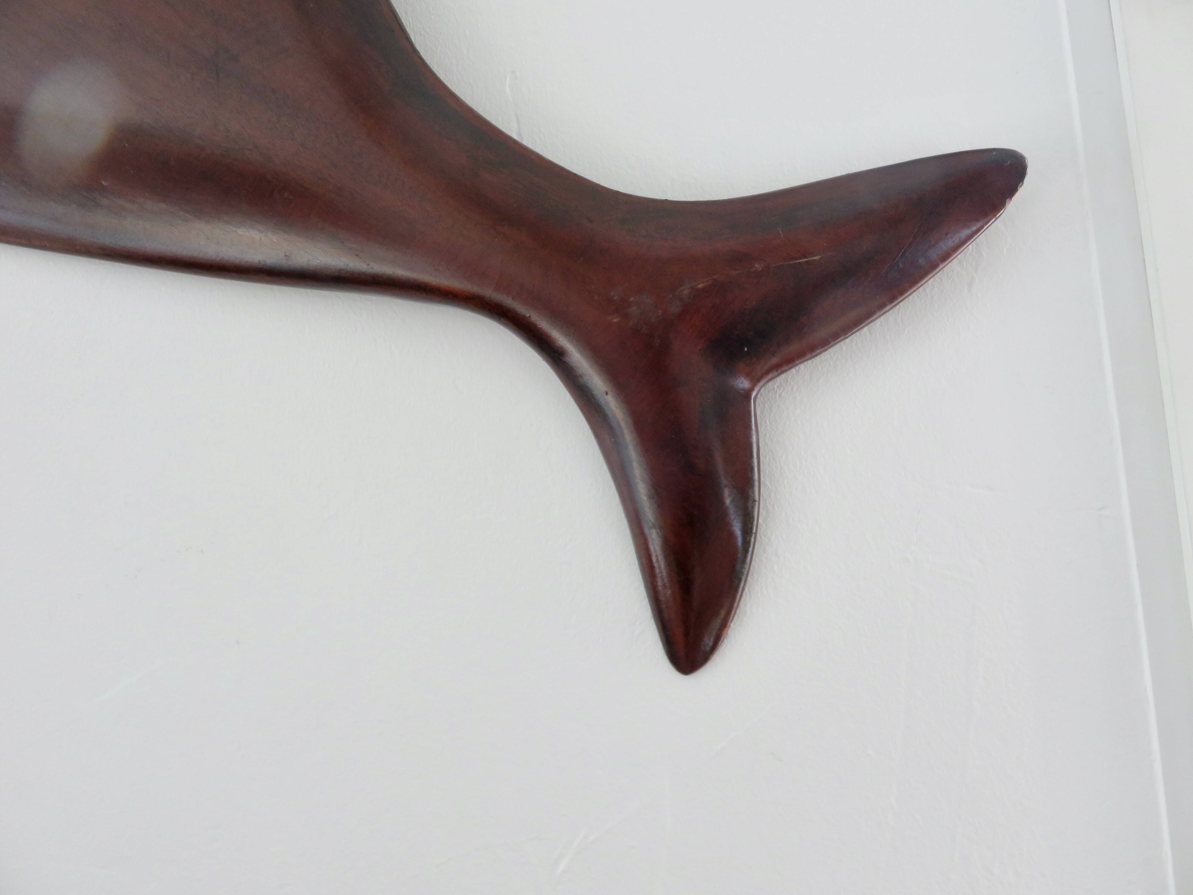Important wall decoration featuring a teak shark - 103cm - year 2012