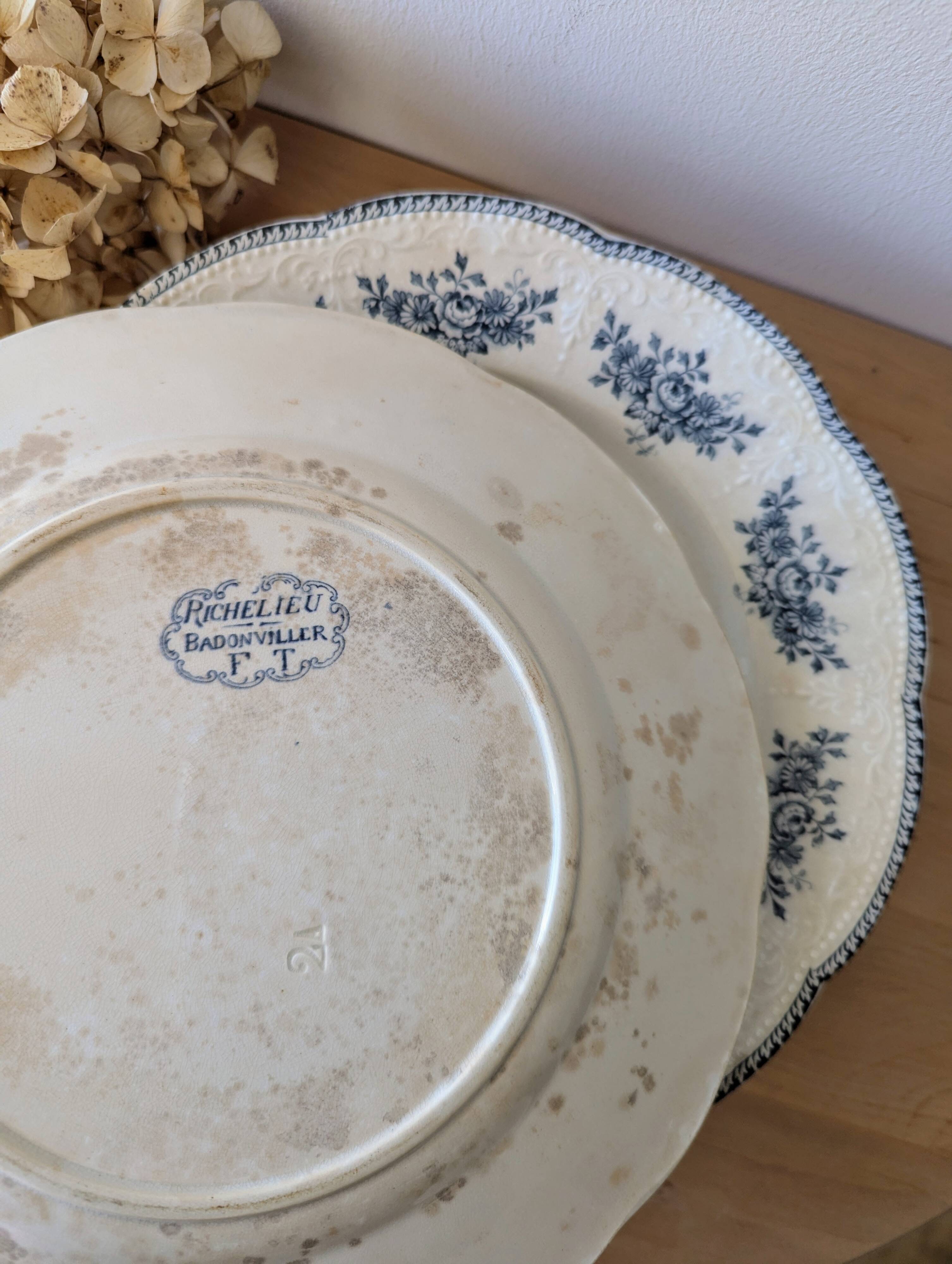 Lot of 10 old Badonviller Richelieu ironstone plates