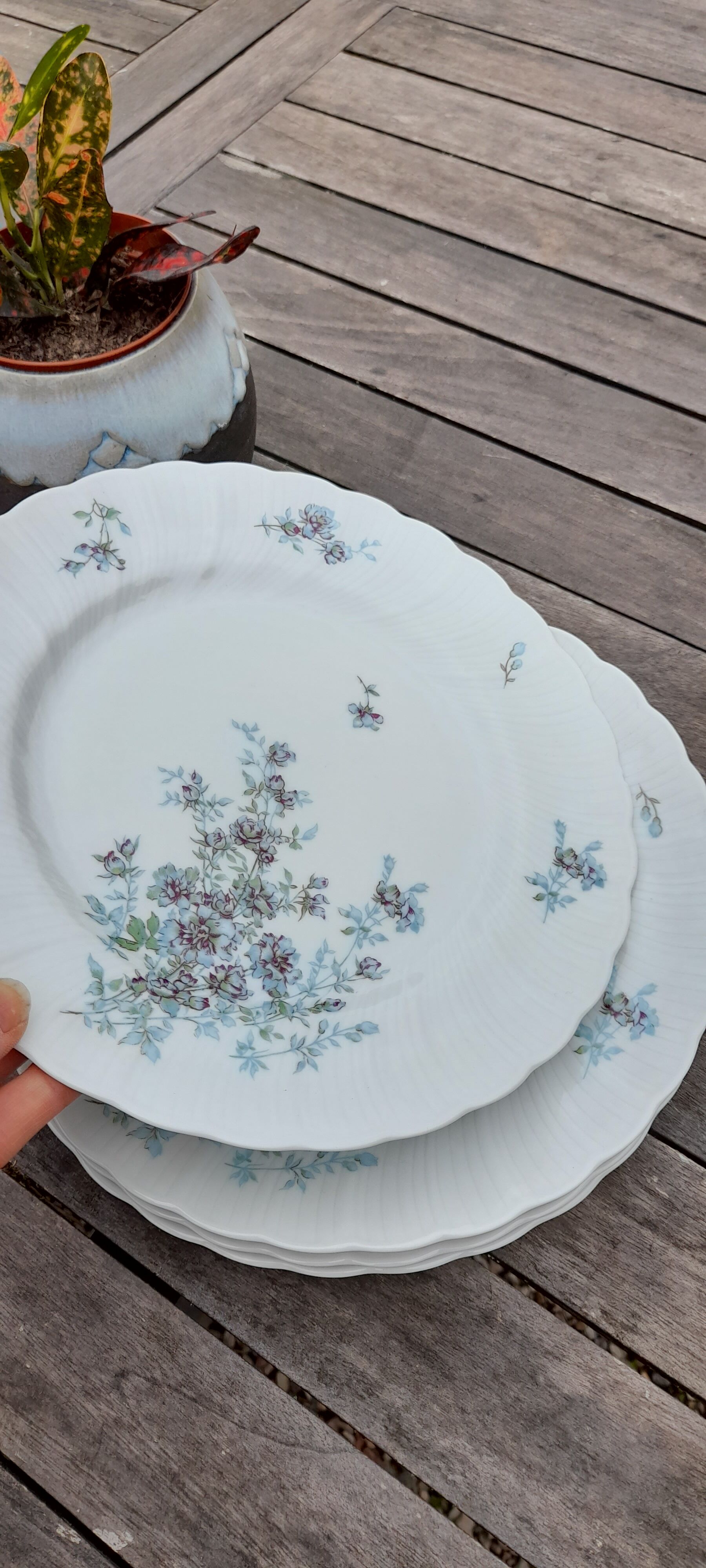 Lot of 4 flat plates, blue flowers model Gabrielle Porcelaine Limoges Bernardaud e