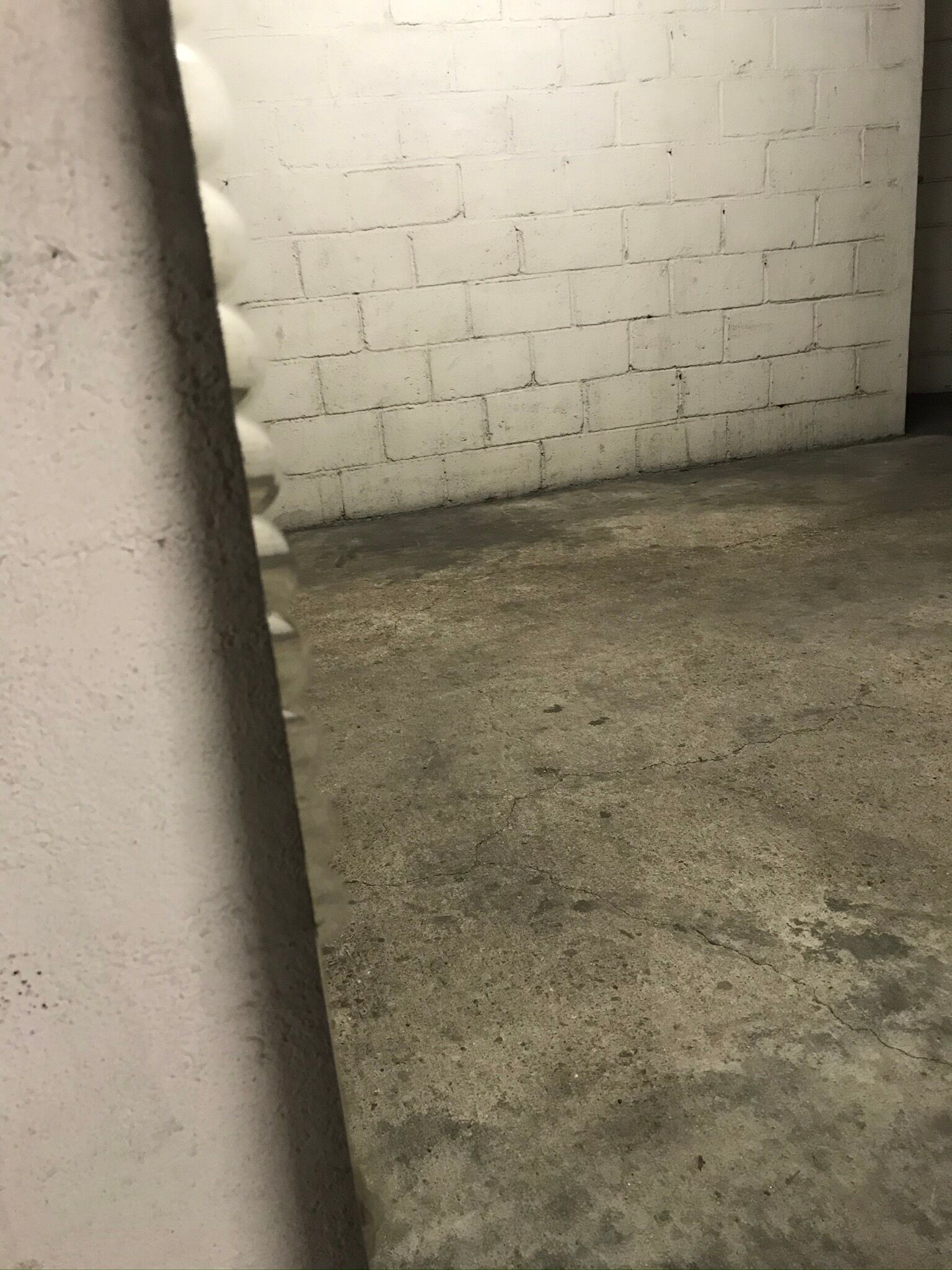 Bevelled path mirror with a star-studded motif