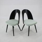 Ensemble de quatre chaises de salle à manger Antonin Suman des années 1960, Tchécoslovaquie