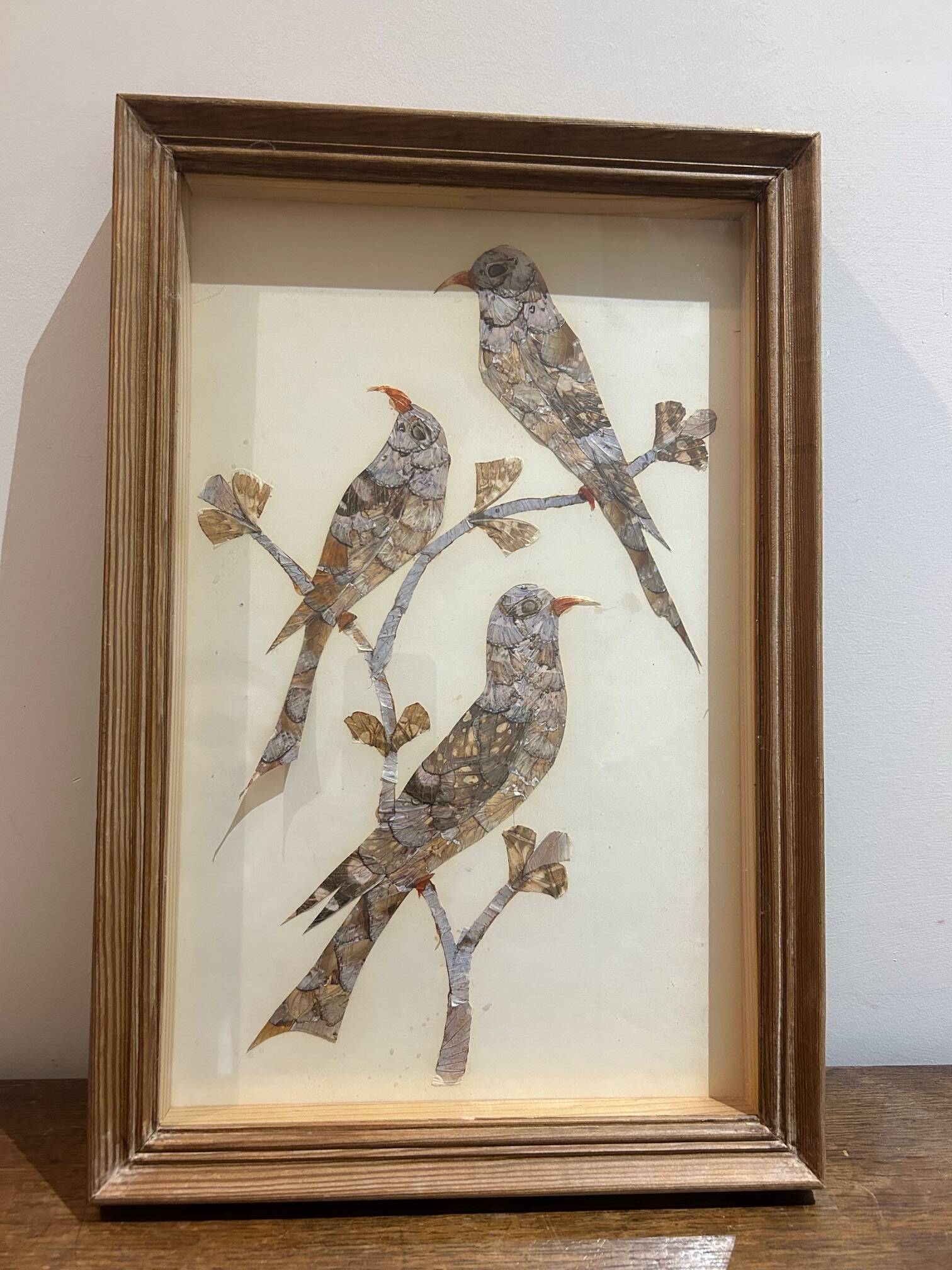 cadre sous verre aux oiseaux