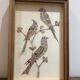 cadre sous verre aux oiseaux
