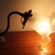 Old tulip sconce