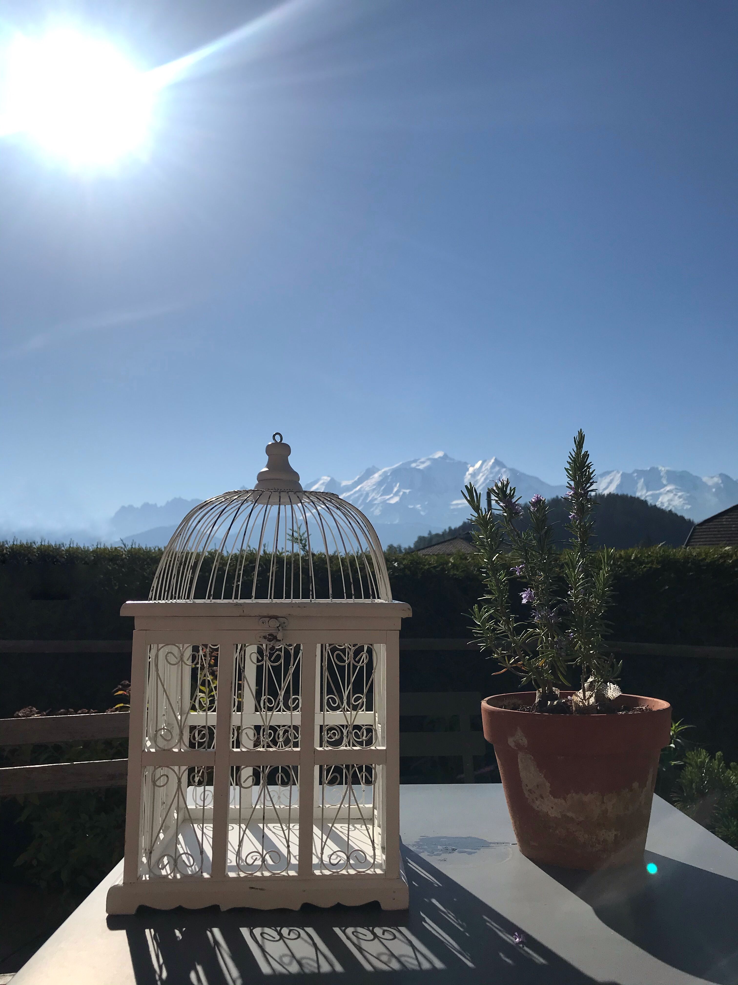 Cage à oiseaux blanche