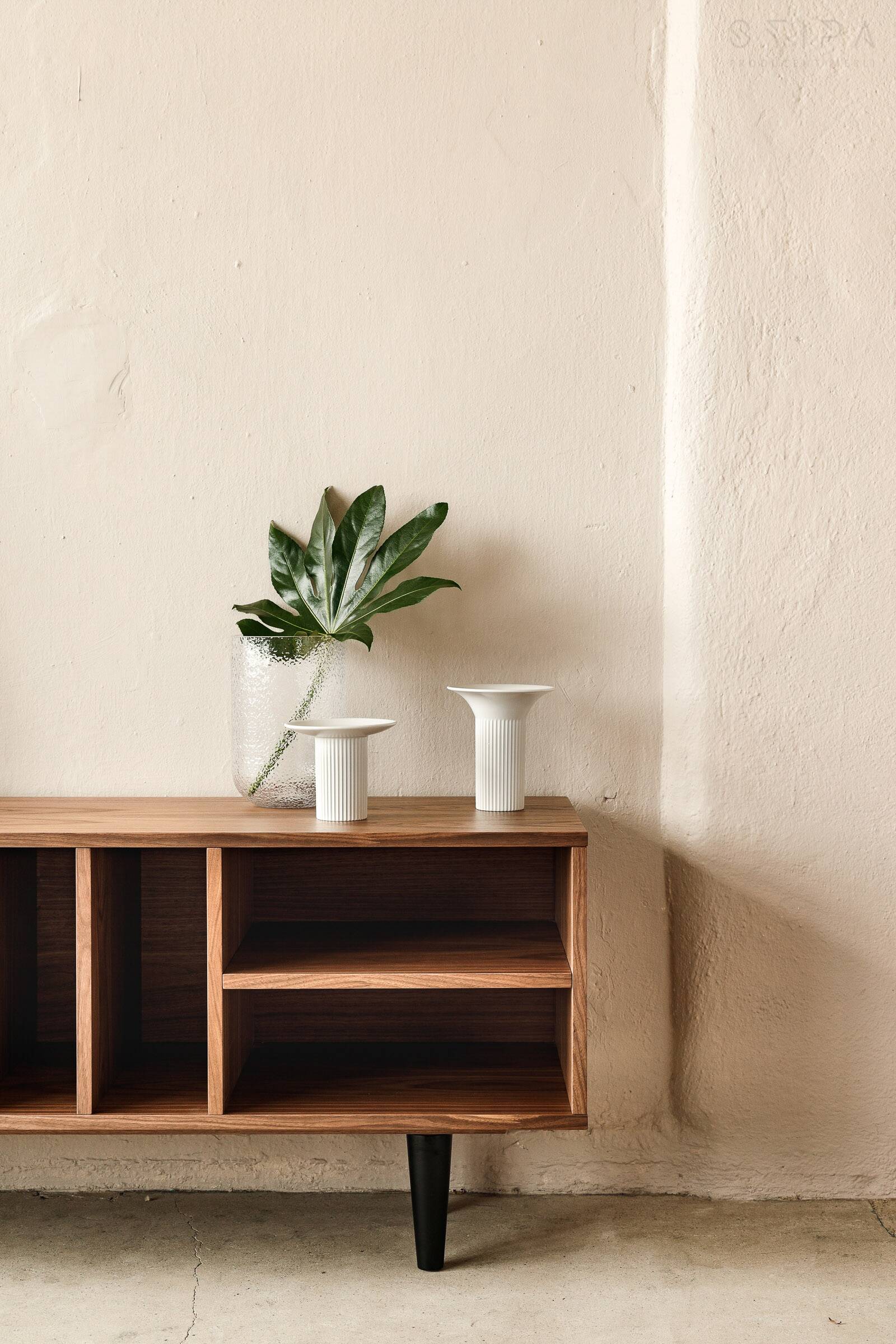 Vinyl Record Storage Cabinet Walnut "Silene"