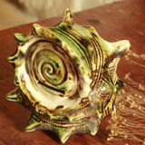 Ancient ceramic shell