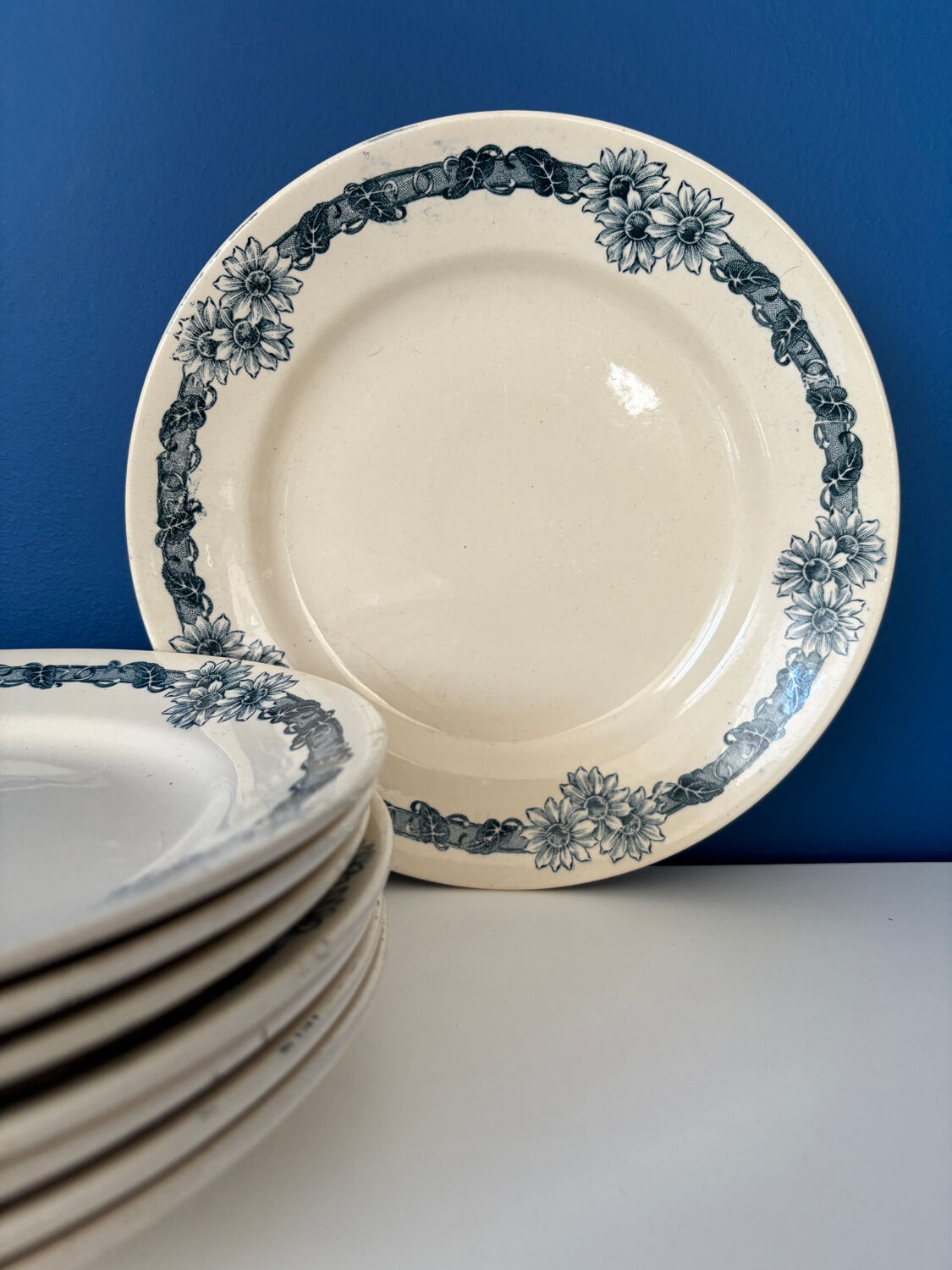 Set of 8 blue ironstone dinner plates Longchamp model Denise.