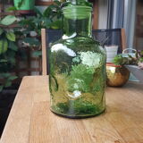 Green bottle
