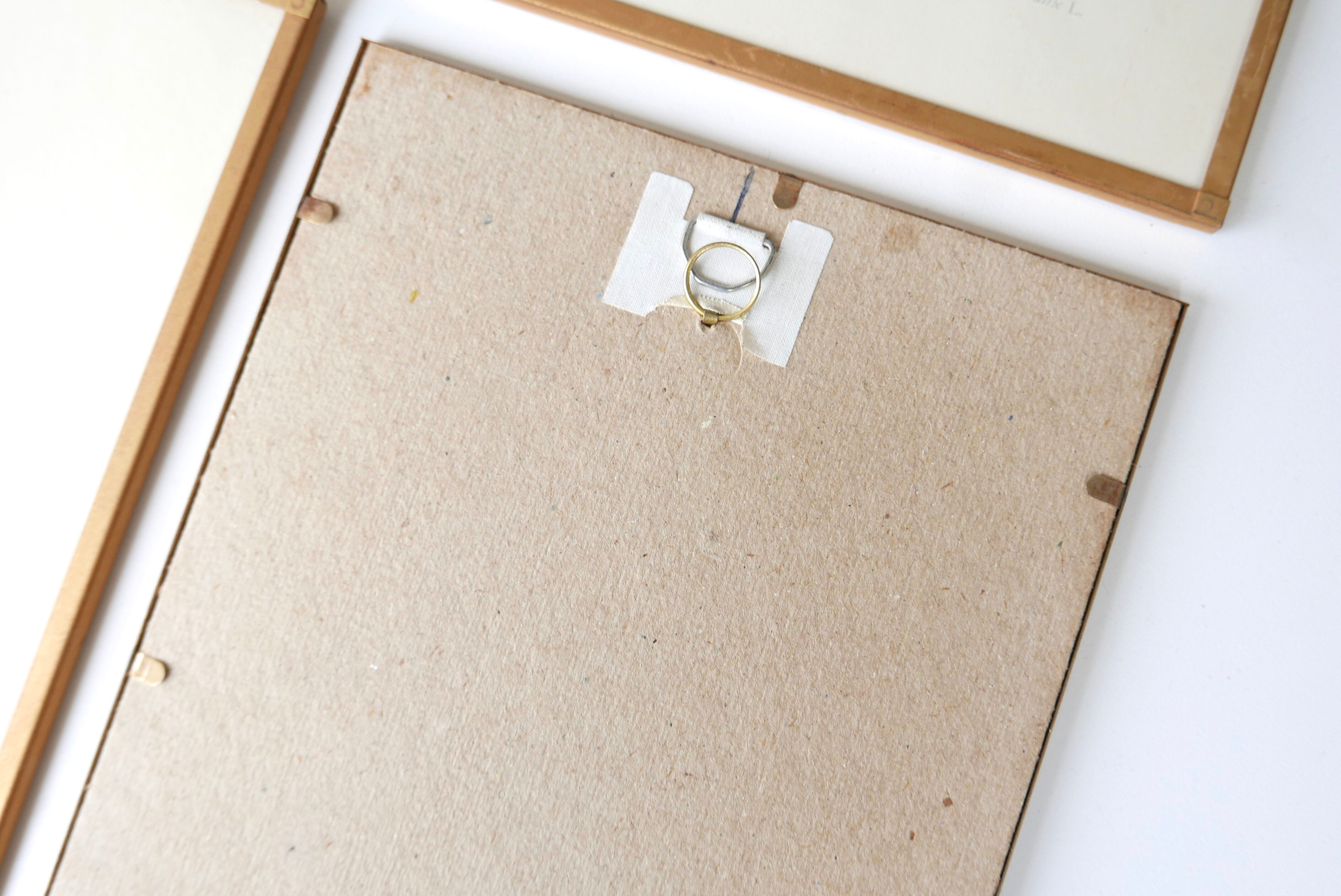 Set of 4 herbarium lithographs, 70s