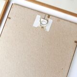 Set of 4 herbarium lithographs, 70s