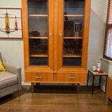 Library / vintage wooden display cabinet