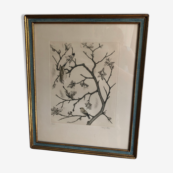 Antique engraving branch with bird