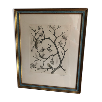 Antique engraving branch with bird