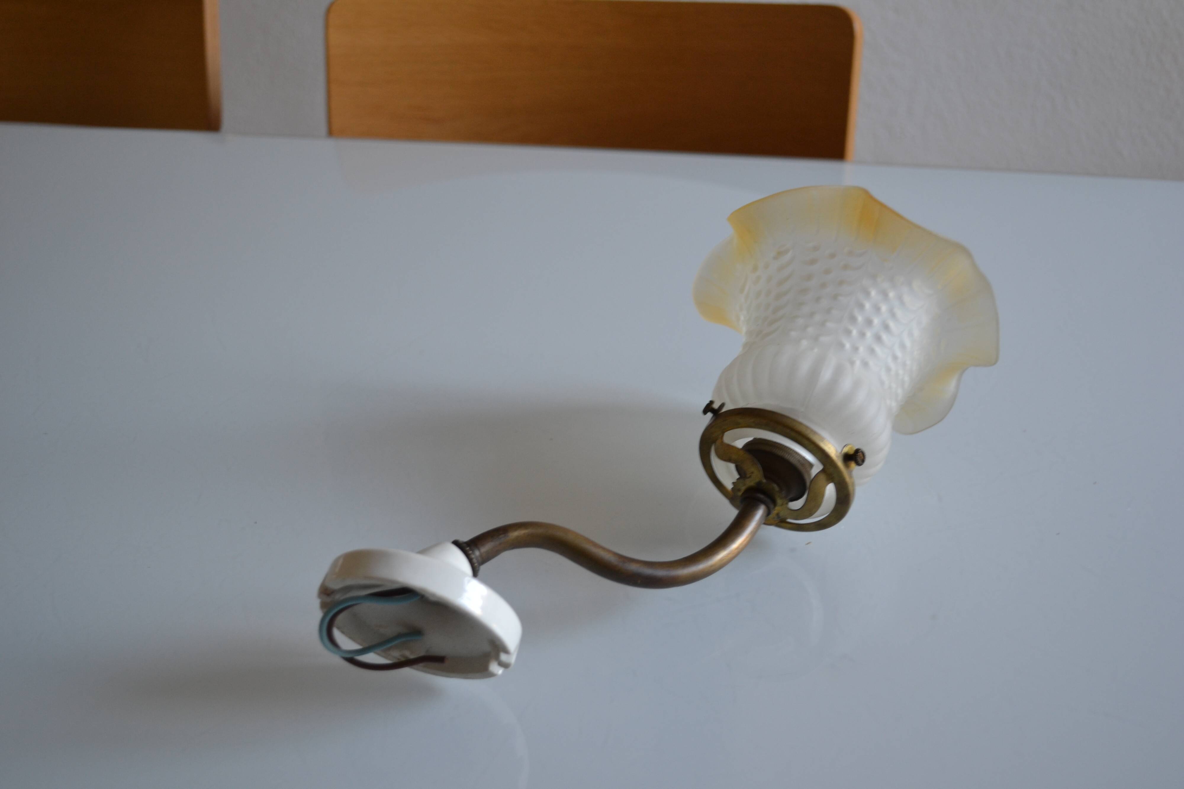 Swan neck wall lamp and its tulip, early 20th century.