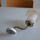 Swan neck wall lamp and its tulip, early 20th century.