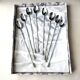 Set of 8 mazagran spoons, cocktail, ice in stainless steel