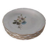 12 Digoin Sarreguemines dinner plates