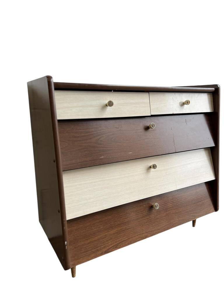Vintage shoe cabinet / wardrobe / cupboard