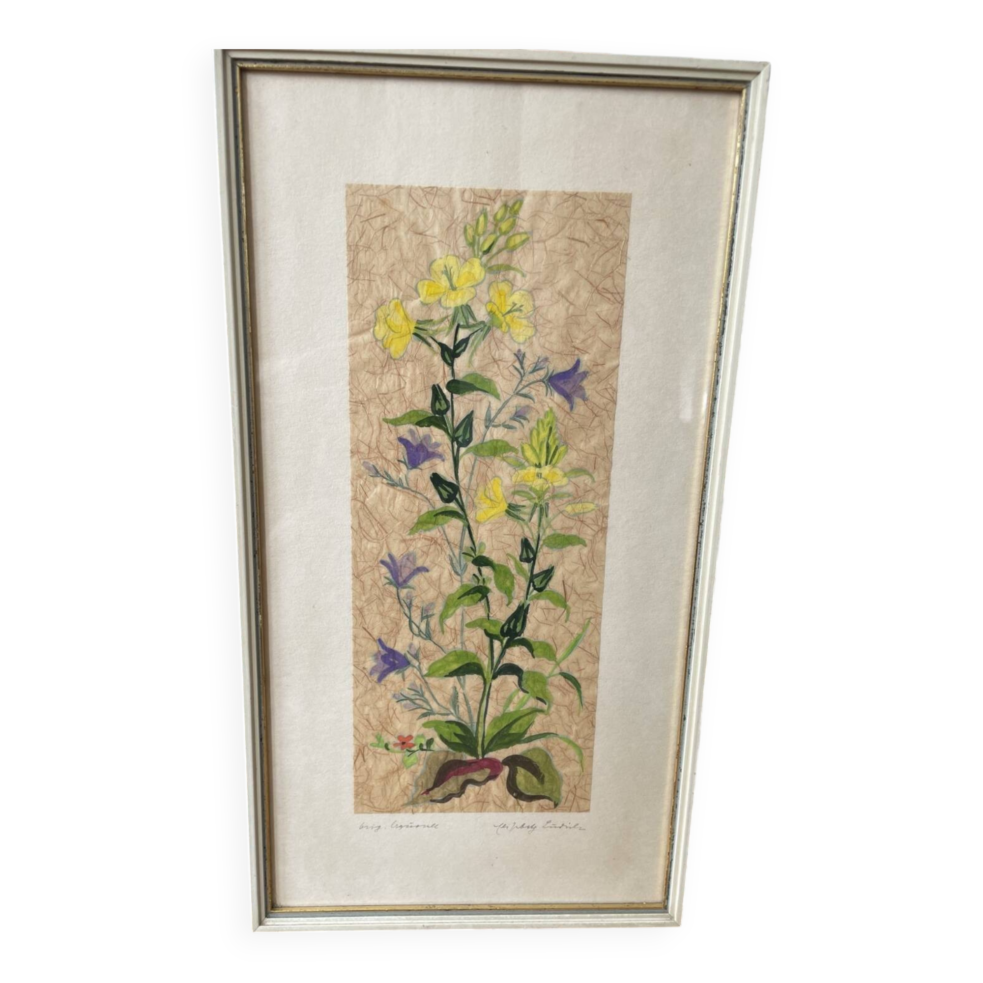 Painting on Japanese paper, herbarium style, 20 cm x 37 cm