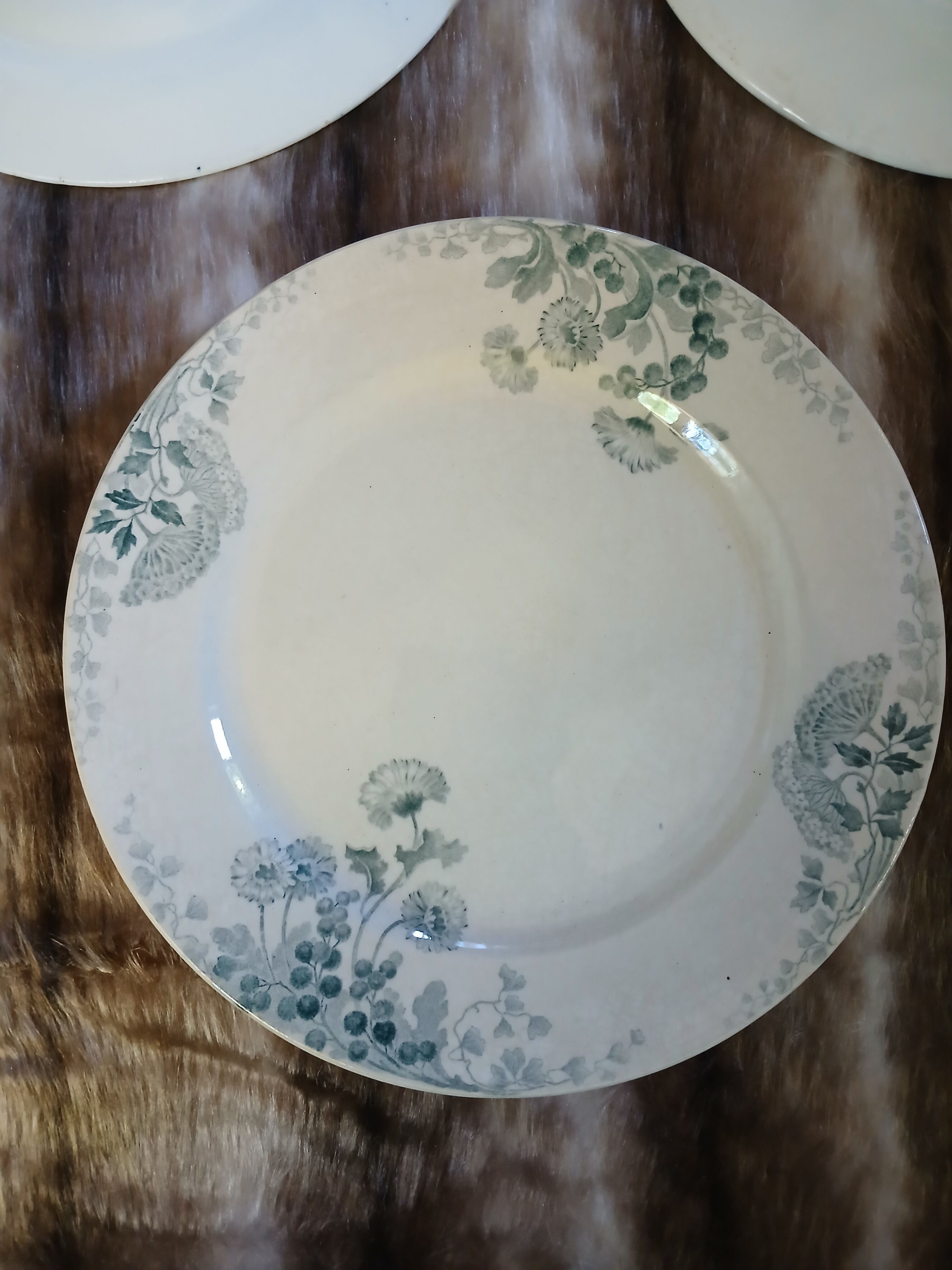 6 antique flat plates in ironstone