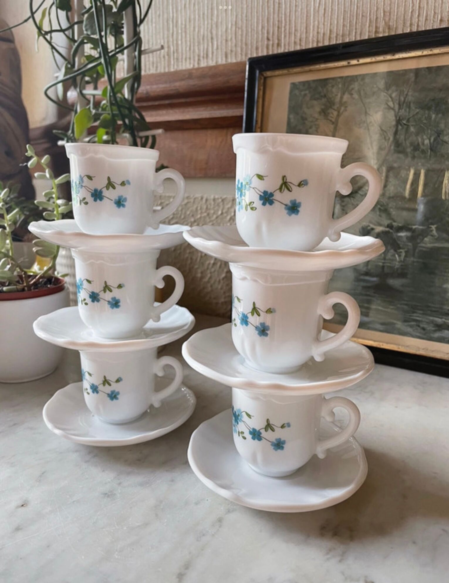 Coffee service Forget-me-not Arcopal