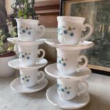 Coffee service Forget-me-not Arcopal