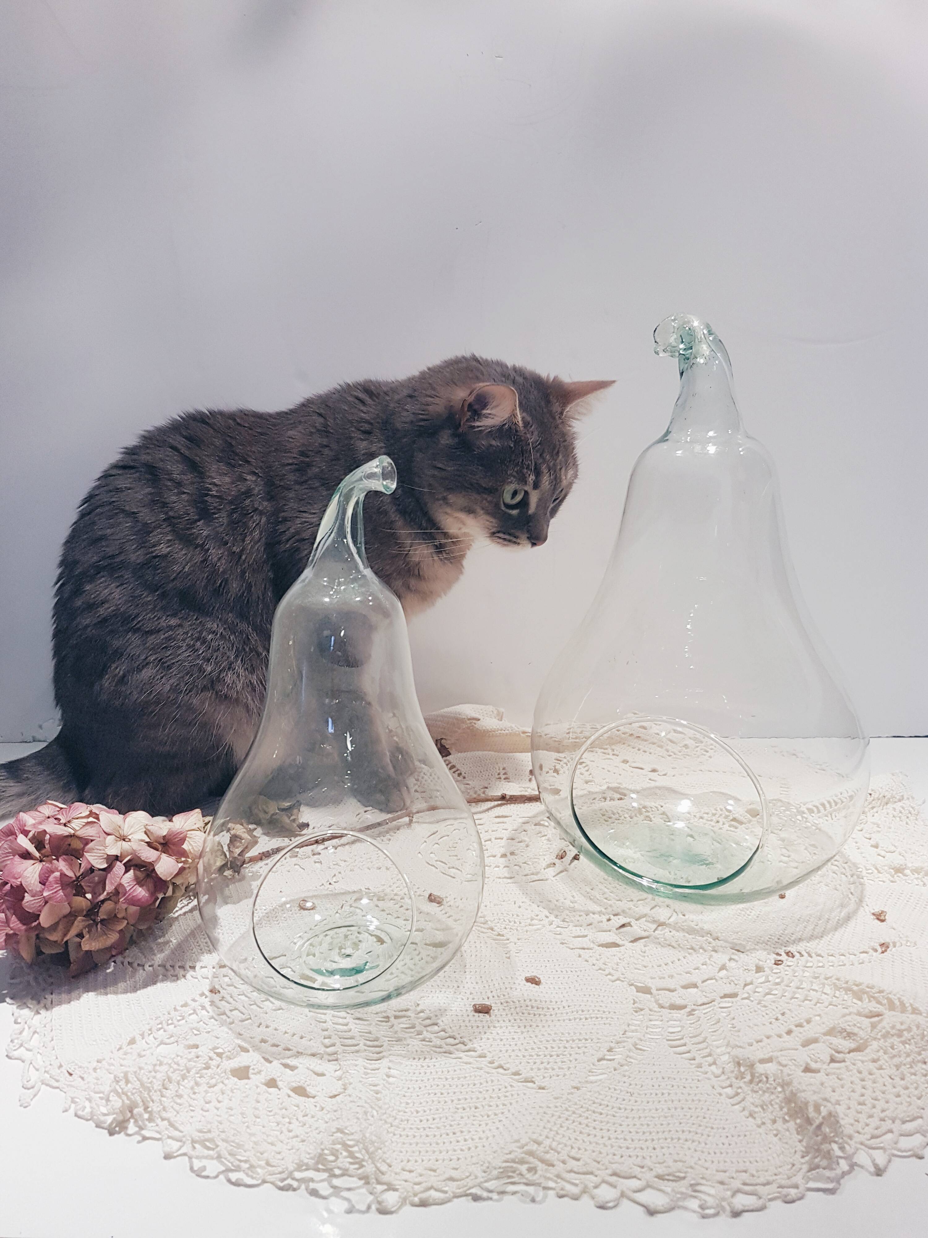 Terrarium en forme de poire en verre vintage pot pourrit Selency