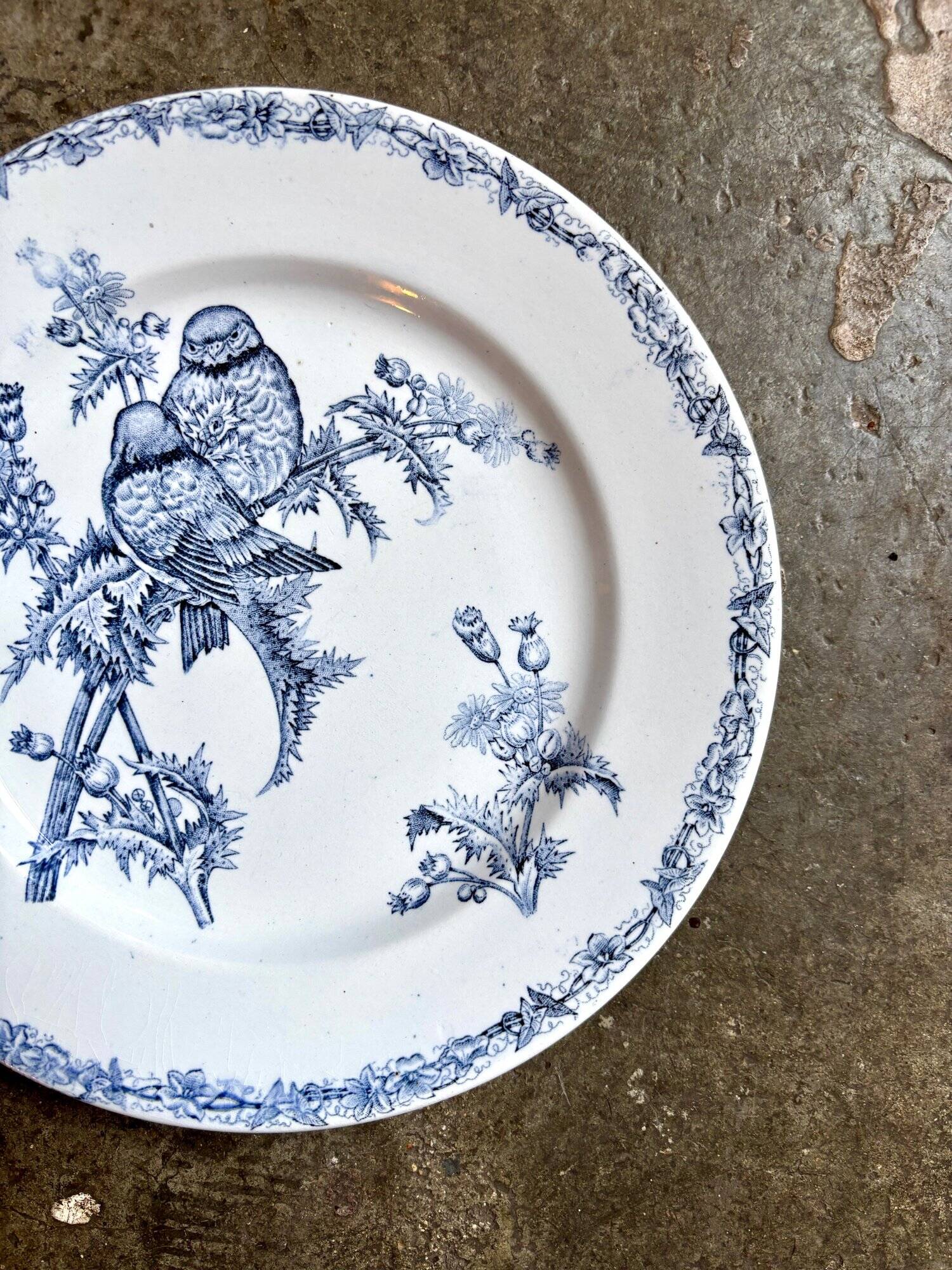 Clairefontaine plate dish - Léon Graves in ironstone, "Chardonnerets" service from the late 19th century.