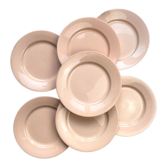 7 Flat plates Rose Digoin Sarreguemines