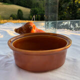 Terrine boar