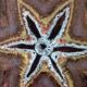 Decorative star plate ceramic Marius Giuge Vallauris
