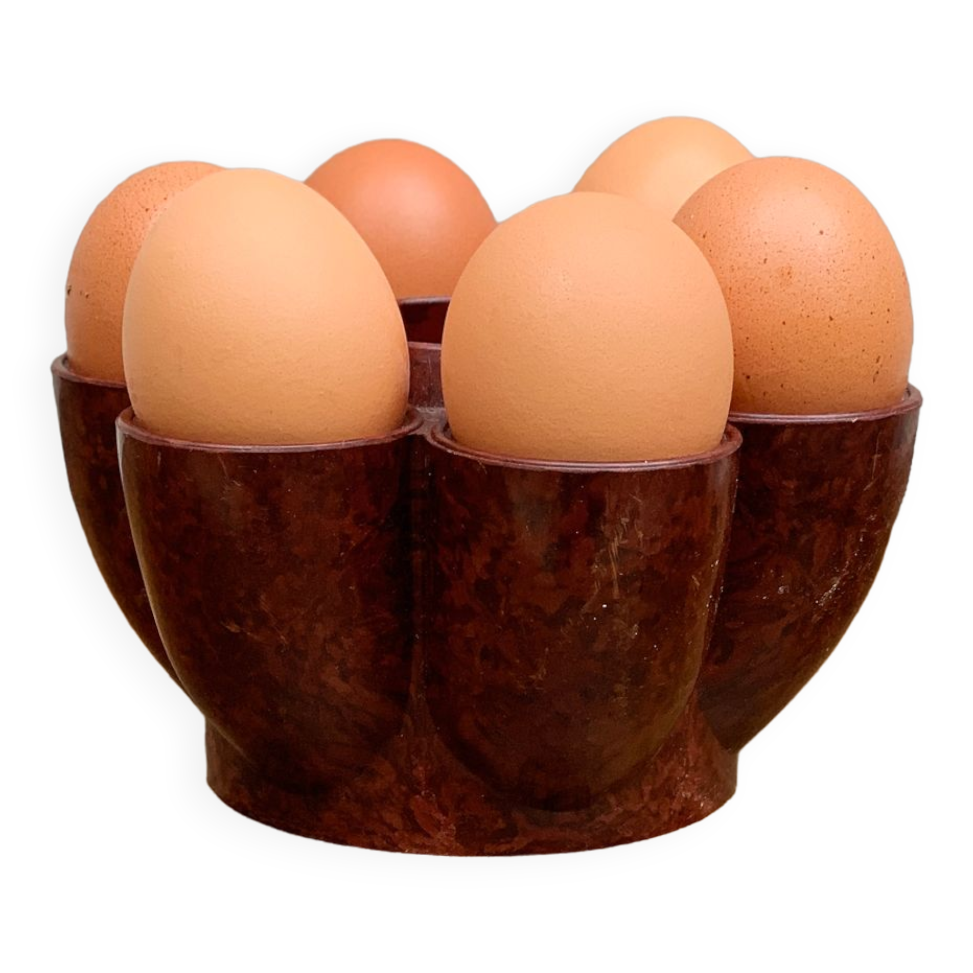 Cockroach in bakelite