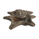 Former Vallaruis ashtray