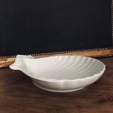 Empty pocket scallop shell