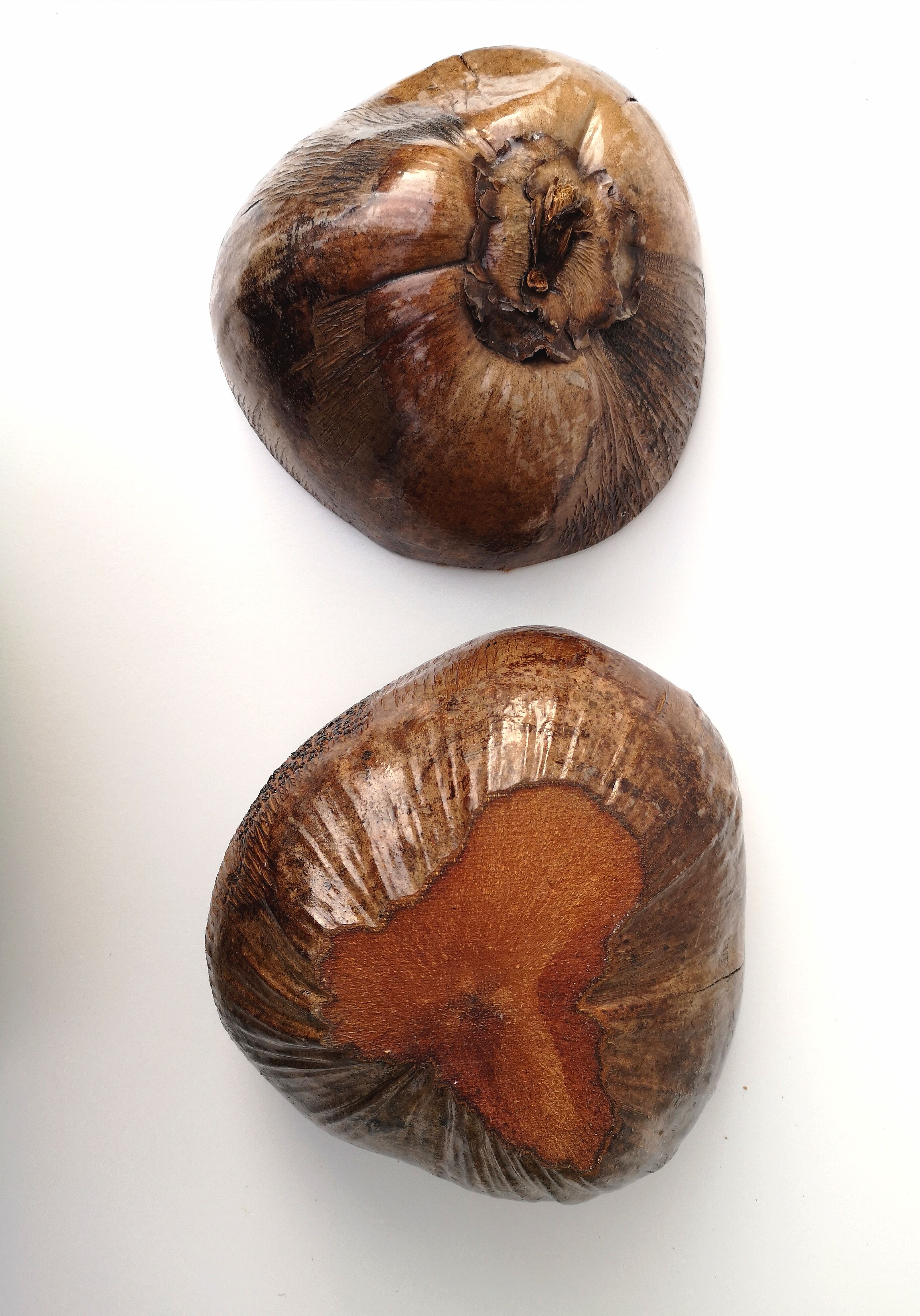 Empty vintage pocket - natural coconut