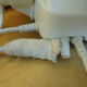 Telephone socotel s63 vintage ivory
