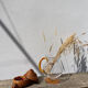 Jewelry box rattan snail vintage wicker woven old panière