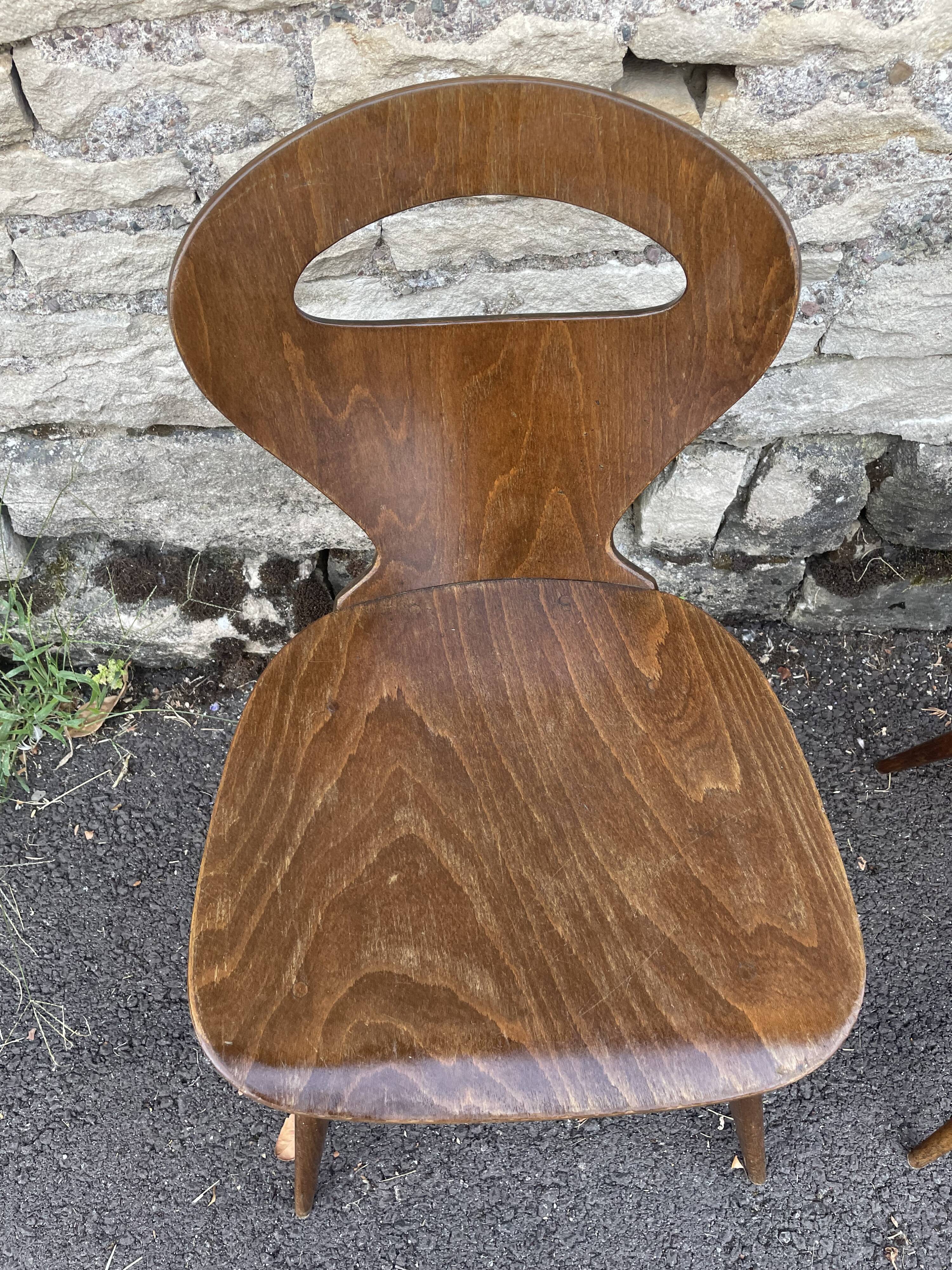 Baumann chairs "ant"