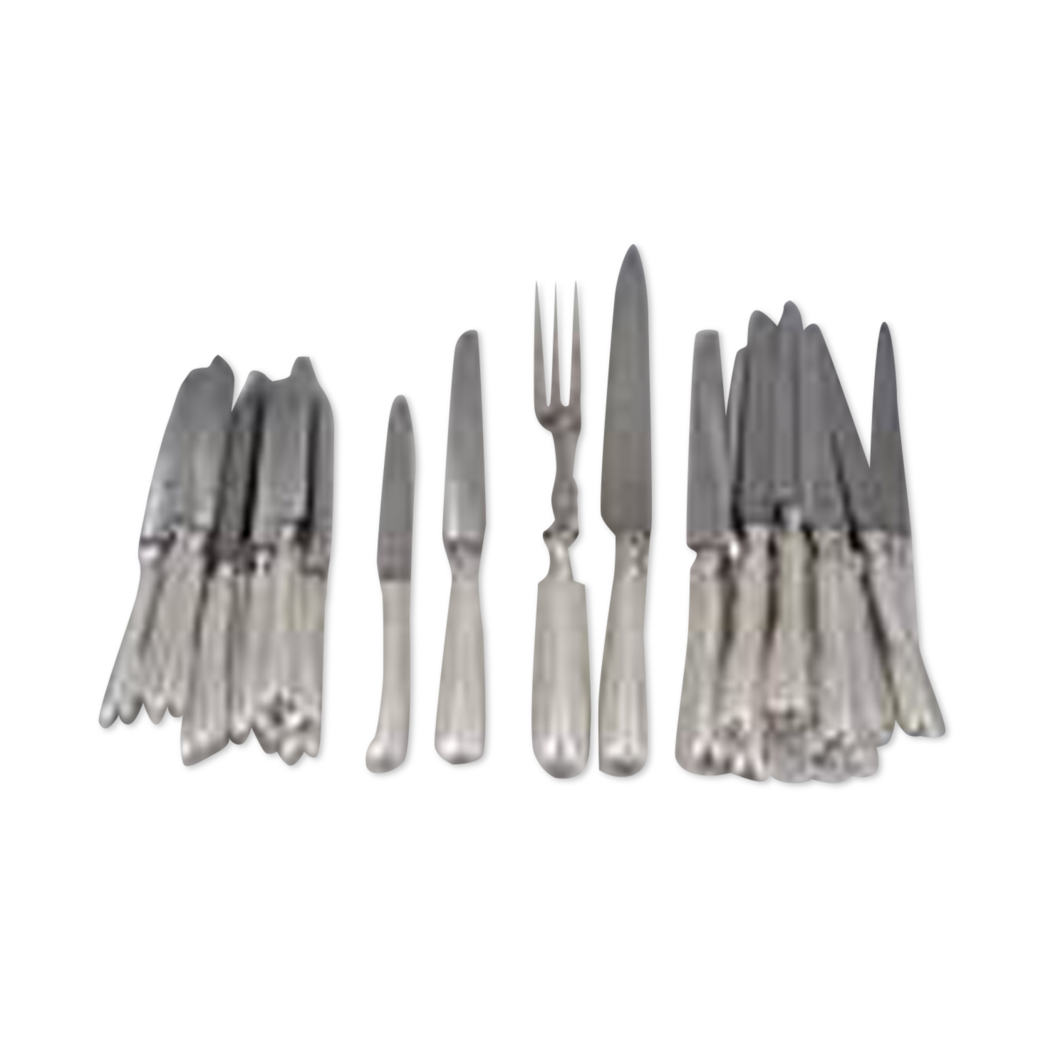 Sfam 24 knives, 12 table knives + 12 dessert cheese knives + carving service.
