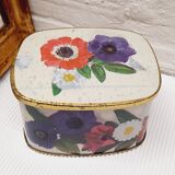 Iron box anemones