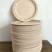 Flat plates Longwy model Betty